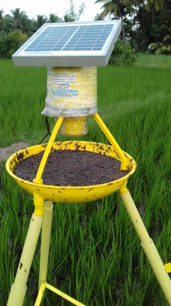 Solar Light Trap