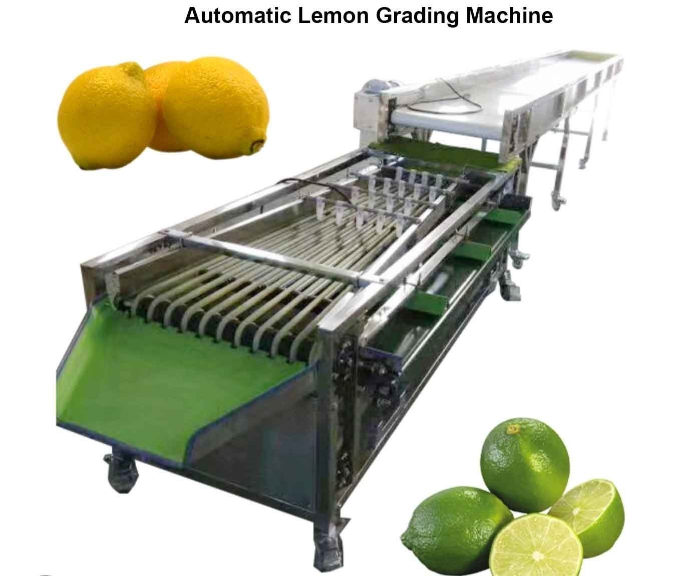 Lemon Grading